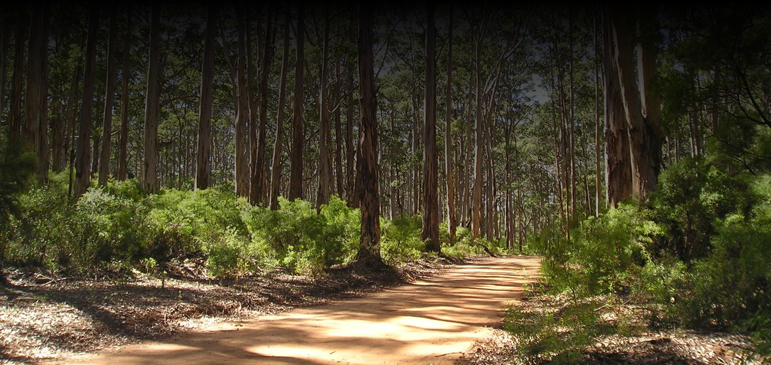 first slideshow slide